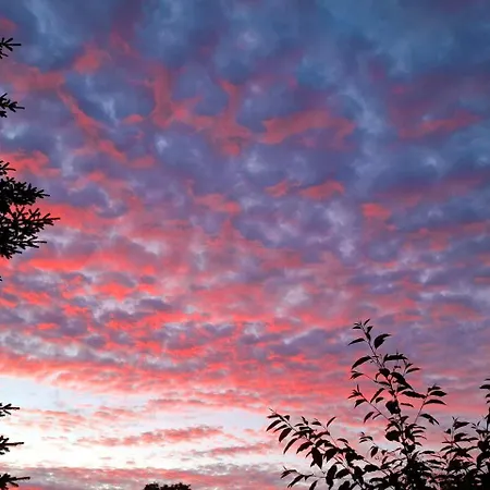 Odins Have Apartamento *